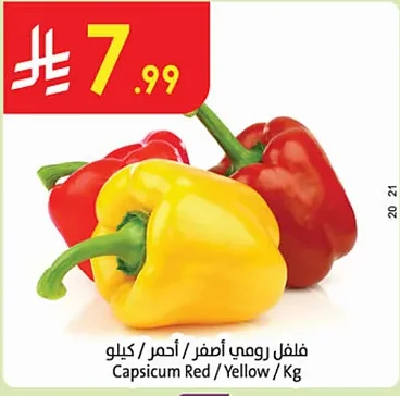 Capsicum Red / Yellow