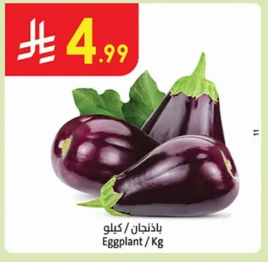Eggplant