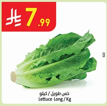Lettuce Long