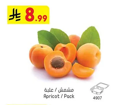 مشمش