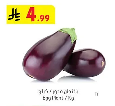 باذنجان مدور