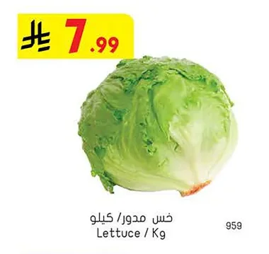 خس مدور