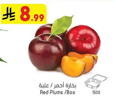 بخارة احمر