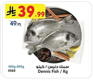 سمك شعور / كيلو