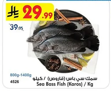 سمك دنيس / كيلو