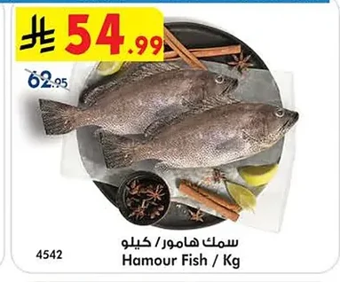 سلمون فيليه / كيلو