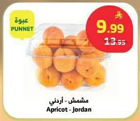 Apricot