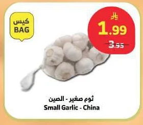 Small Garlic