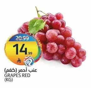 GRAPES RED