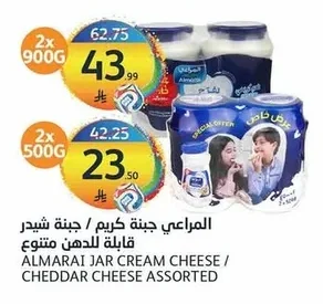 Cream Cheese / Cheddar Cheese Spread