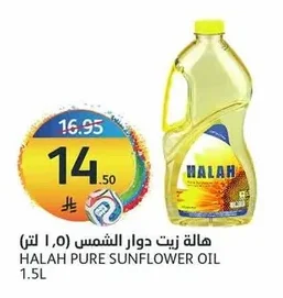 Sunflower Oil