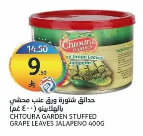 Stuffed Grape Leaves Jalapeno