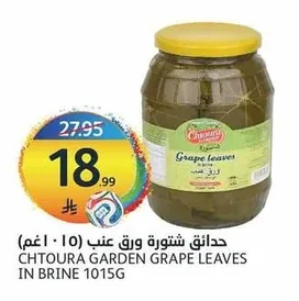 Grape Leaves in Brine