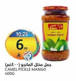 Pickled Mango