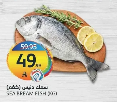 سمك دنيس
