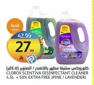 Clorox Scentiva Disinfectant Lavender / Pine (4.5 L + 50% Extra Free)