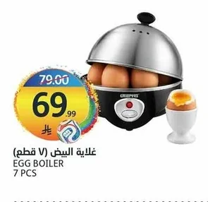غلاية البيض (٧ قطع)