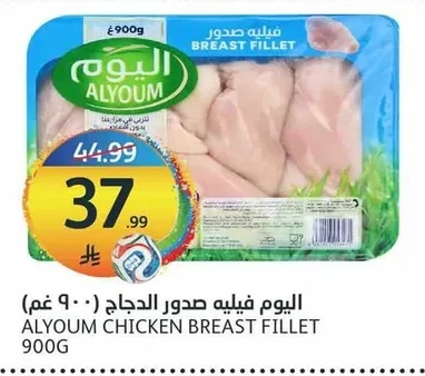 Chicken Breast Fillet