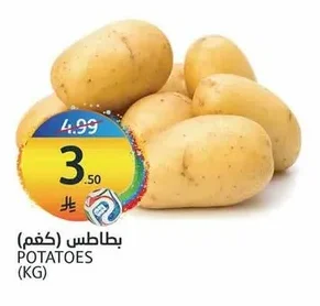 بطاطس