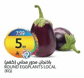 باذنجان مدور محلي