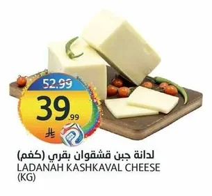 لدانة جبن قشقوان بقري