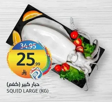 حبار كبير