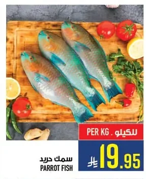 PARROT FISH