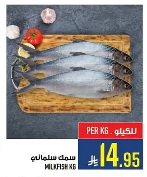 MILKFISH KG