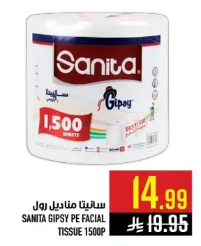 سانيتا مناديل رول