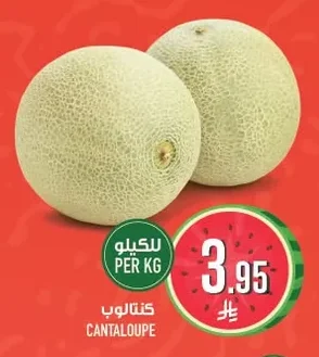 CANTALOUPE