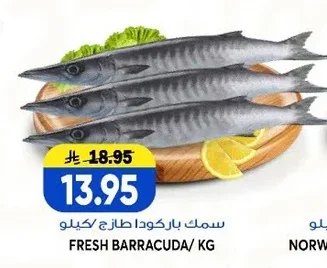 سمك باركودا طازج