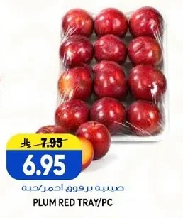 PLUM RED TRAY