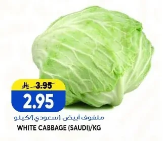WHITE CABBAGE (SAUDI)