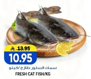 FRESH CAT FISH/KG
