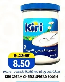 جبنة كيري كريم قابلة للدهن ٥٠٠ جم