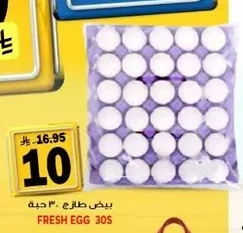 FRESH EGG
