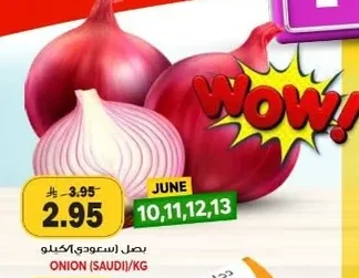 ONION (SAUDI)/KG