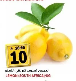 LEMON (SOUTH AFRICA)/KG
