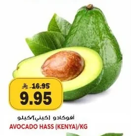 AVOCADO HASS (KENYA)/KG