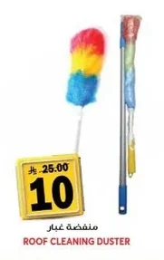 ROOF CLEANING DUSTER