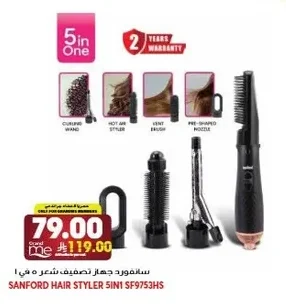 SANFORD HAIR STYLER 5IN1 SF9753HS