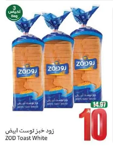 ZOD Toast White