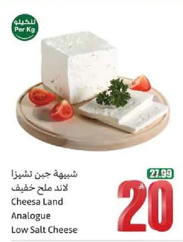 Light Salted Cheese Analog