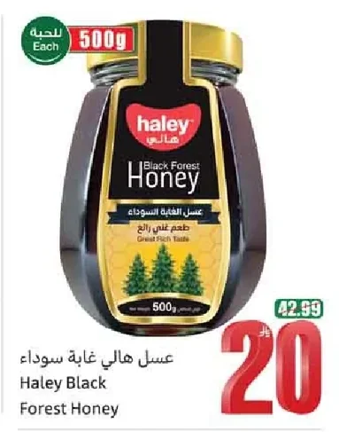 Haley Black Forest Honey