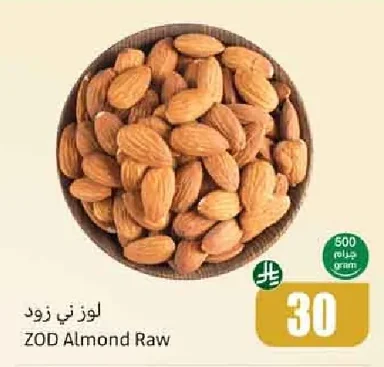 لوز ني زود