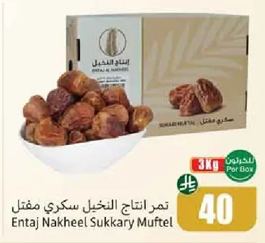 تمر انتاج النخيل سكري مفشل