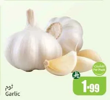 Garlic