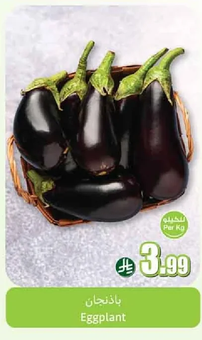 باذنجان