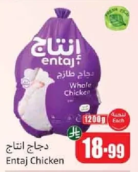 دجاج انتاج