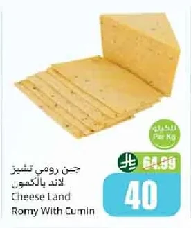 جبن رومي تشيز
لاند بالكمون